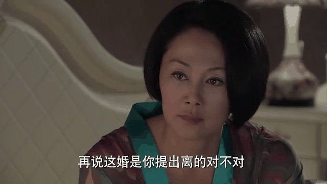 我的极品老妈剧情,电视剧 我的极品老妈