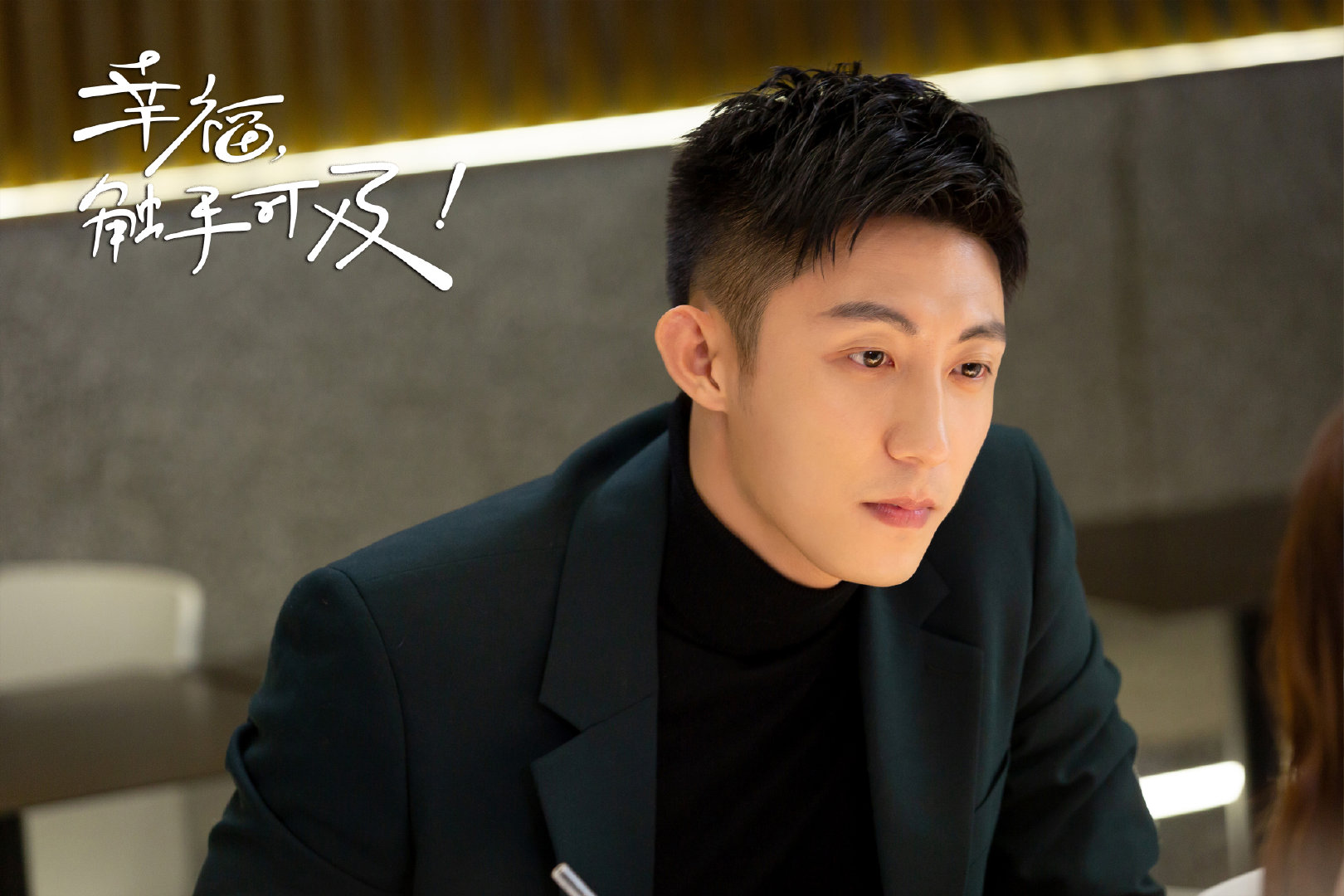 幸福触手可及收分集剧情介绍,幸福触手可及收全部演员表介绍