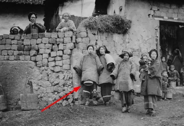 地主家的女人们,地主家的女人们剧情分集介绍