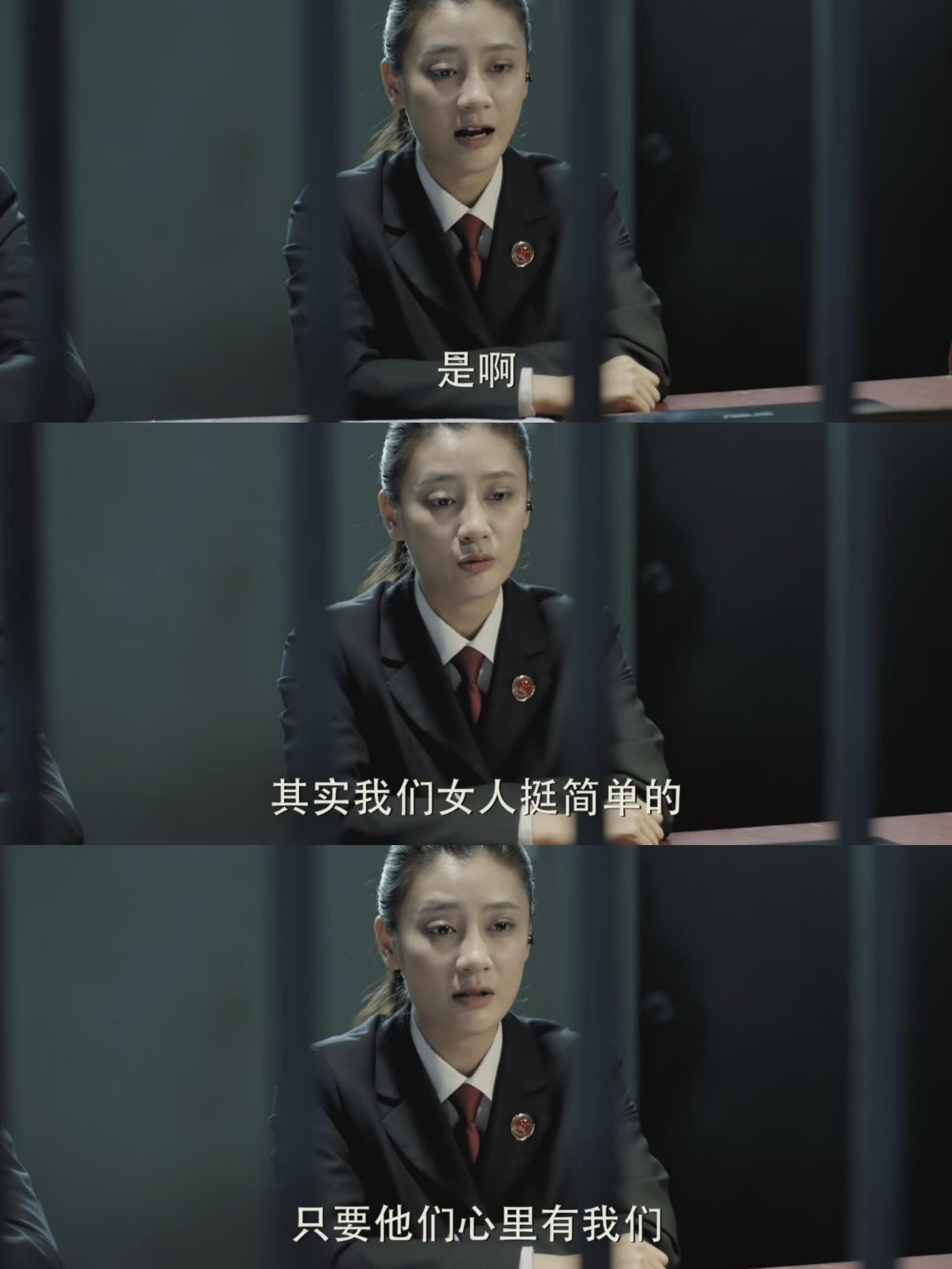 人民的民义剧情介绍,电视剧人民的民义简介