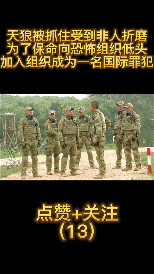 我是特种兵之火凤凰天狼,我是特种兵之火凤凰天狼归队