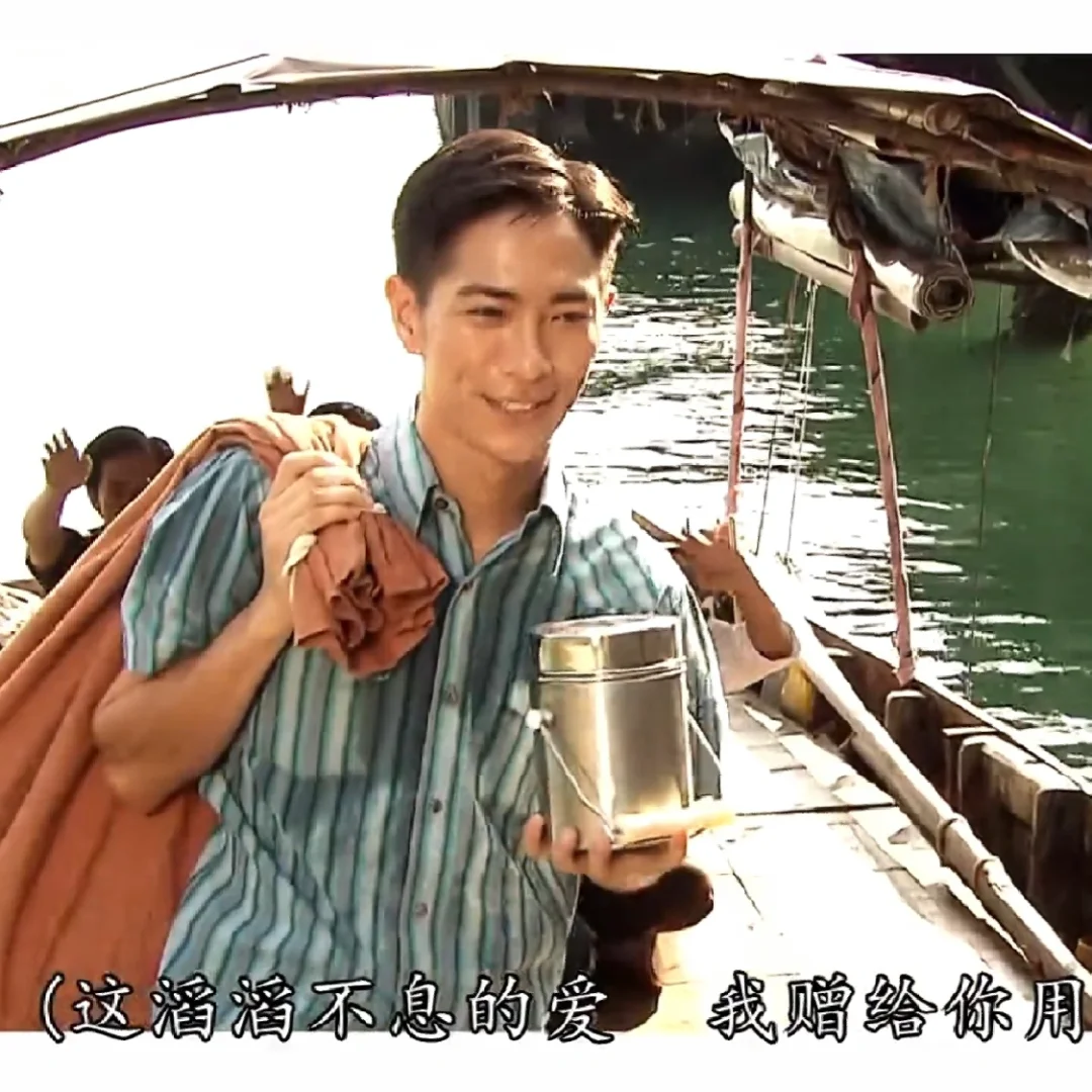 护花危情剧情介绍,护花危情演员表全