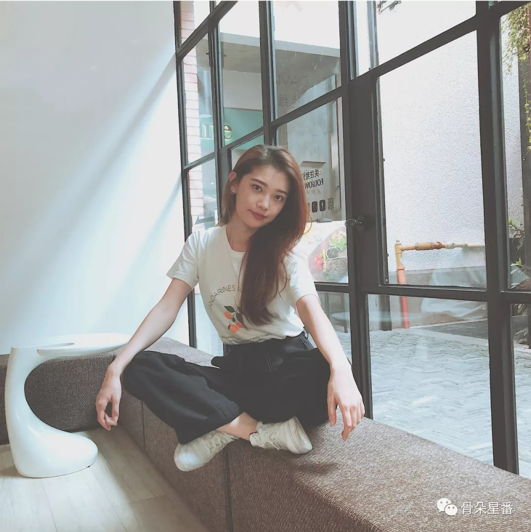 甄磊,甄磊律师