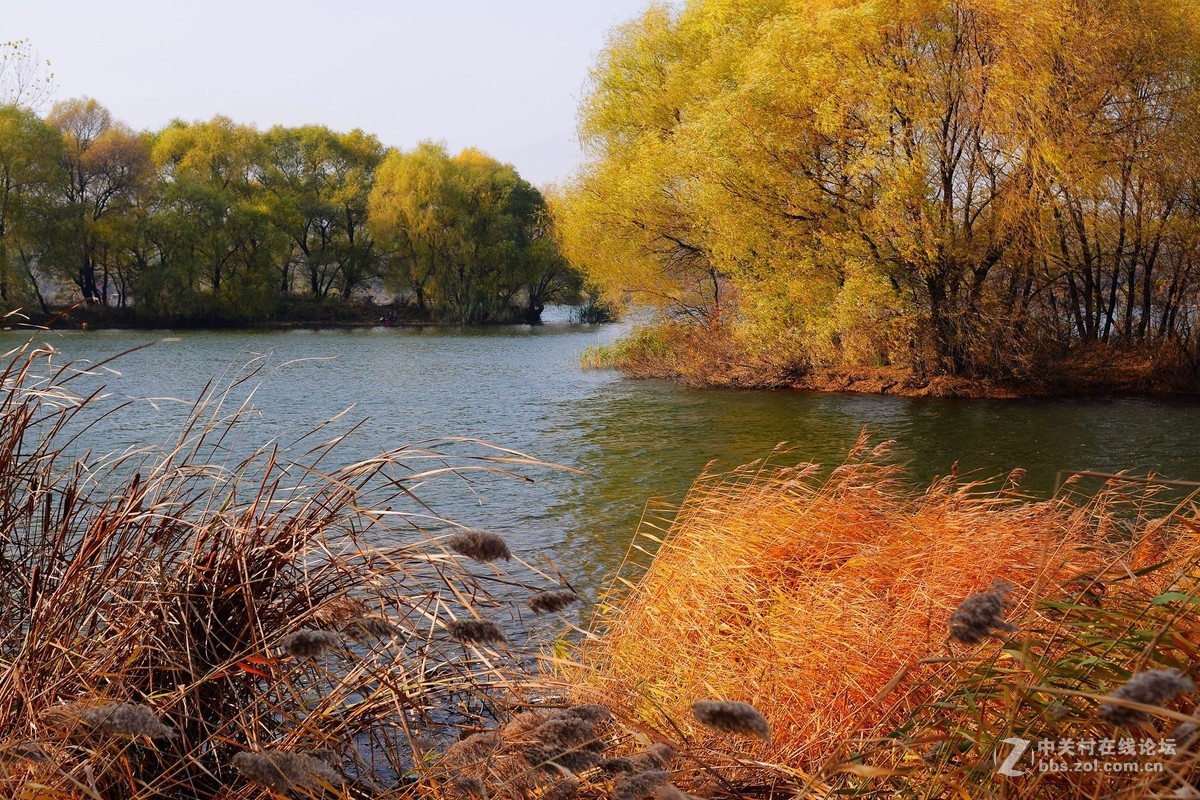 晚秋在线看,晚秋国语完整版