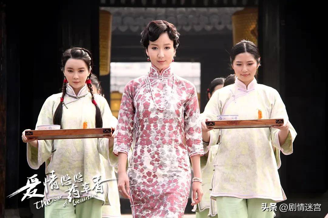 爱情悠悠药草香剧情分集介绍,爱情悠悠药草香电视剧剧情