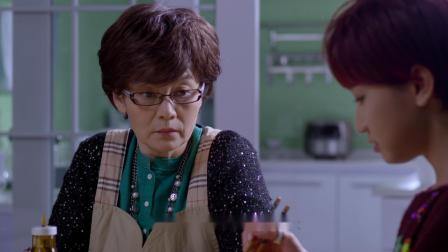 婆婆遇上妈剧情介绍,婆婆遇上的妈演员表介绍