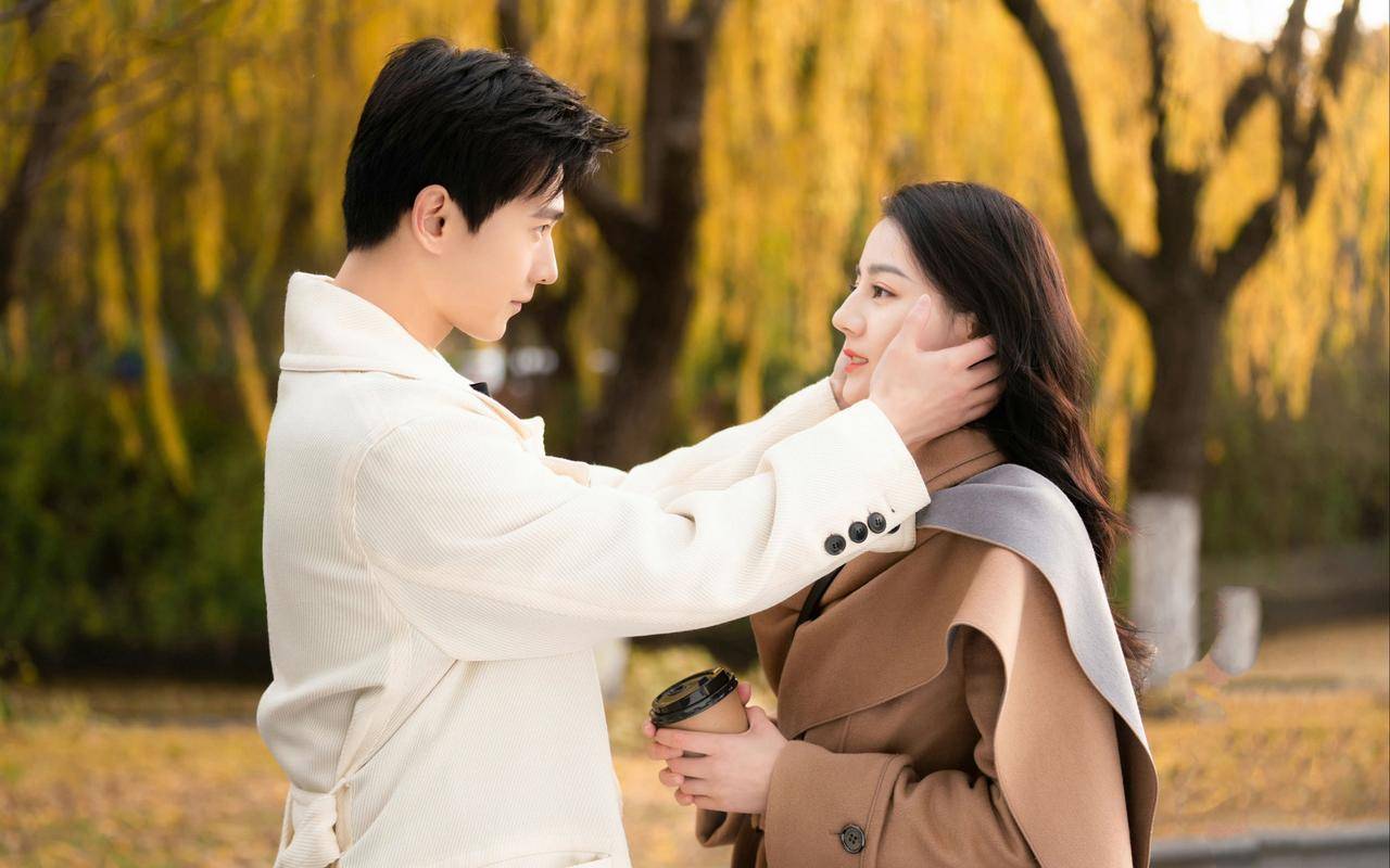 你是我的荣耀剧情介绍,你是我的荣耀电视剧免费观看