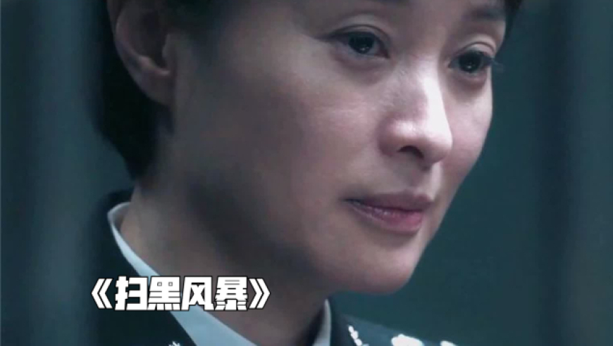 扫黑风暴剧情介绍完整版,扫黑风暴剧情28集剧情介绍