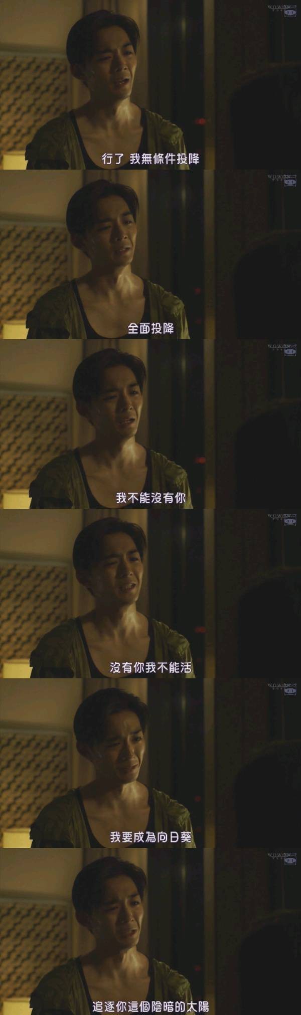 贤者之爱在线观看,贤者之爱在线观看免费,电视剧