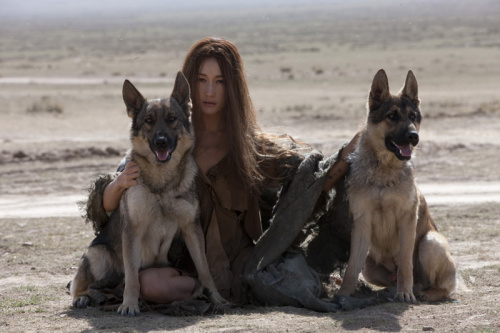 狼灾记剧情,狼灾记剧情详解