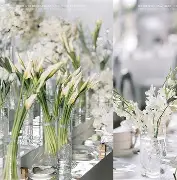 誓言永恒剧情介绍,誓言永恒剧情介绍分集