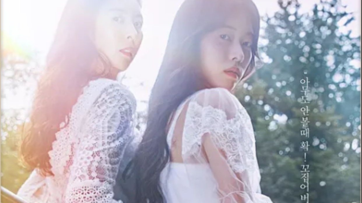 一个女人韩剧剧情介绍,一个女人韩剧剧情介绍大结局