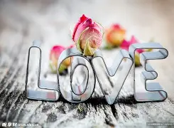 爱盛开剧情介绍,爱盛开剧情分集介绍