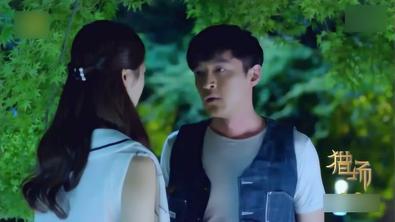 猎场在线观看,猎场在线观看免费全集爱奇艺