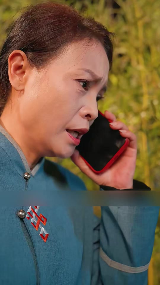 歧路兄弟剧情介绍,歧路兄弟戈大洪和戈飞大结局