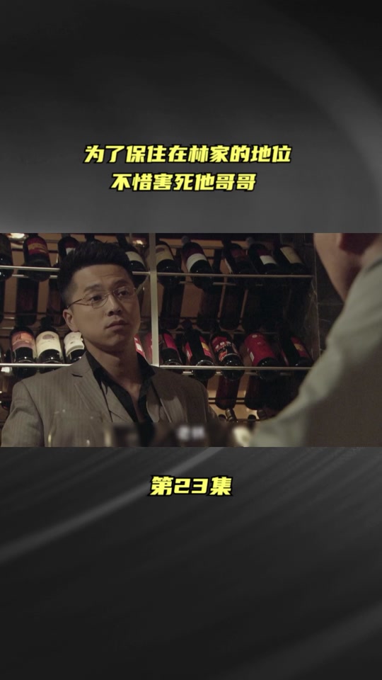 歧路兄弟剧情介绍,歧路兄弟戈大洪和戈飞大结局