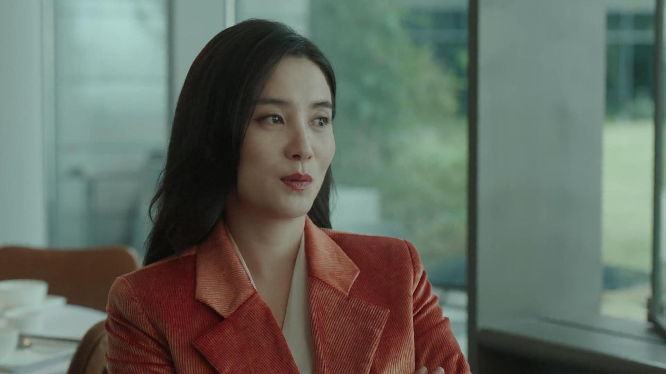 纵有疾风起电视剧剧情介绍,纵有疾风起电视剧主演