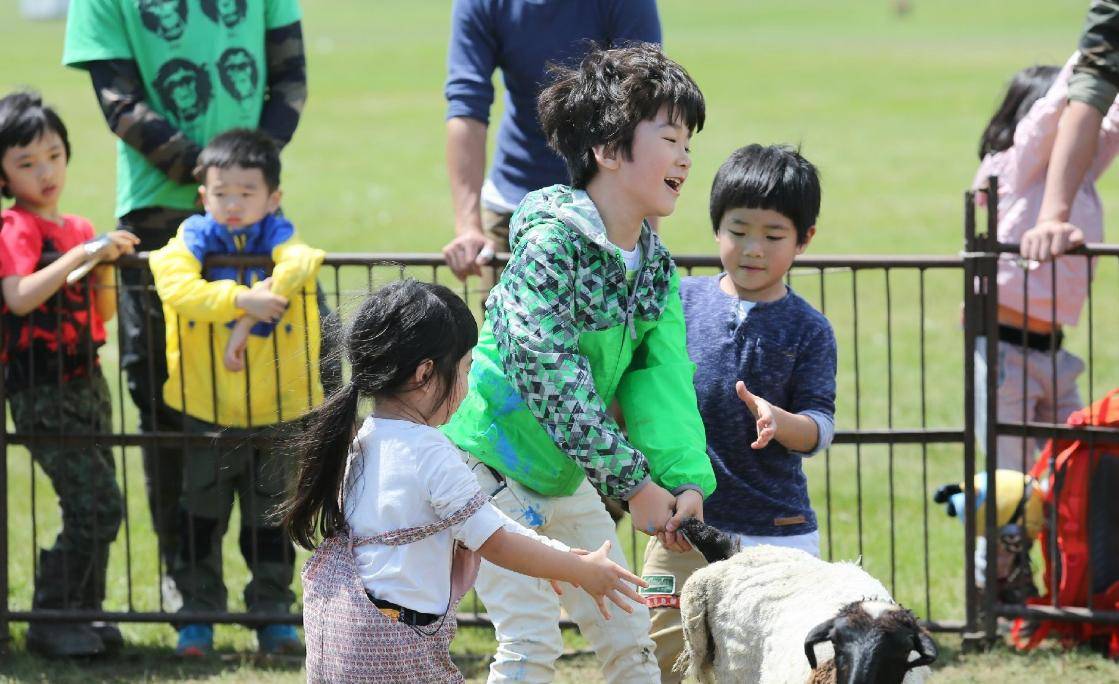 爸爸去哪儿第二季在线观看,爸爸去哪儿第二季在线观看星辰影院