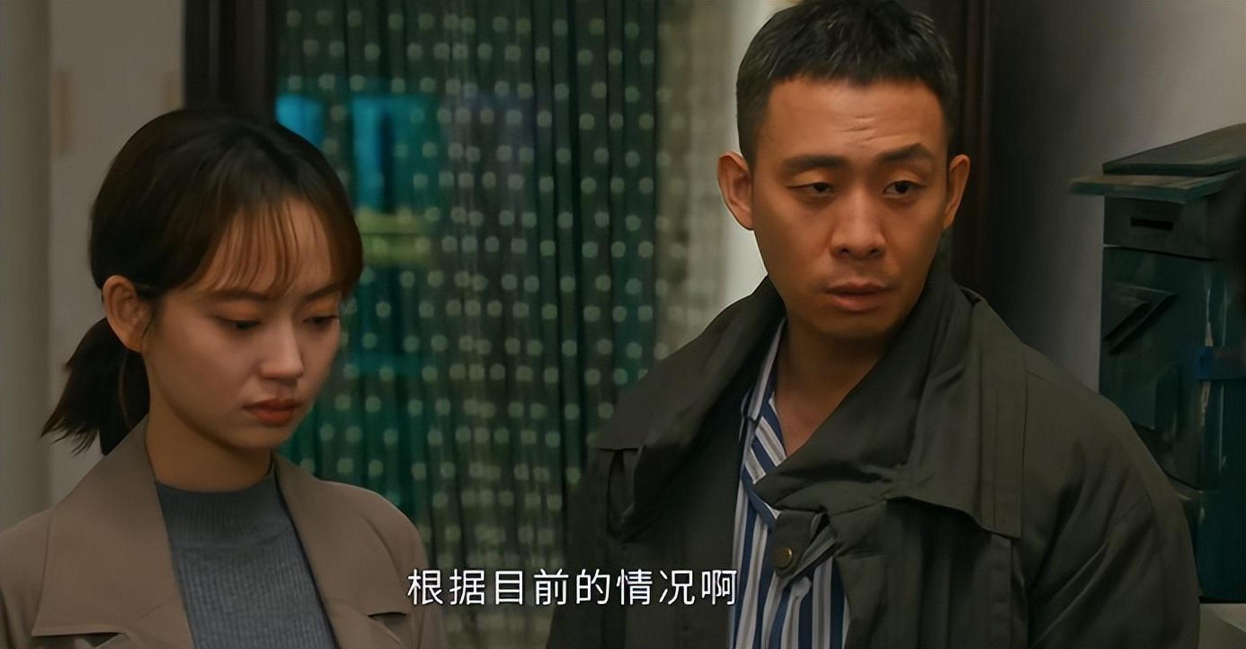 他是谁电视剧剧情介绍,聂小雨最后的结局