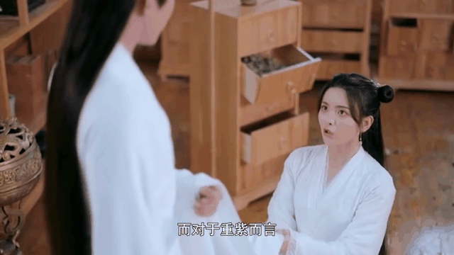 重紫剧情介绍,重紫剧情介绍结局