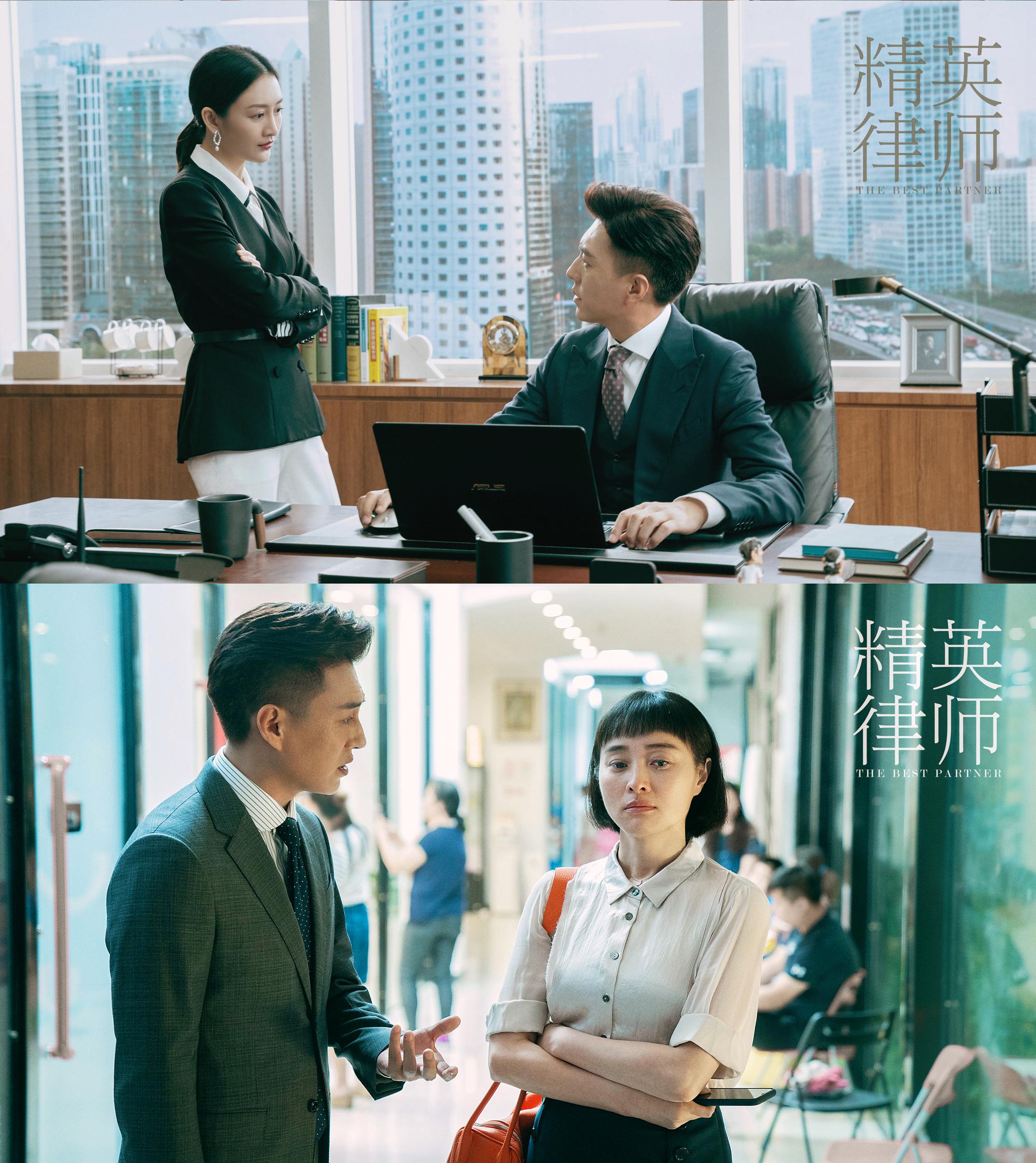 精英律师剧情介绍,电视剧精英律师剧情介绍