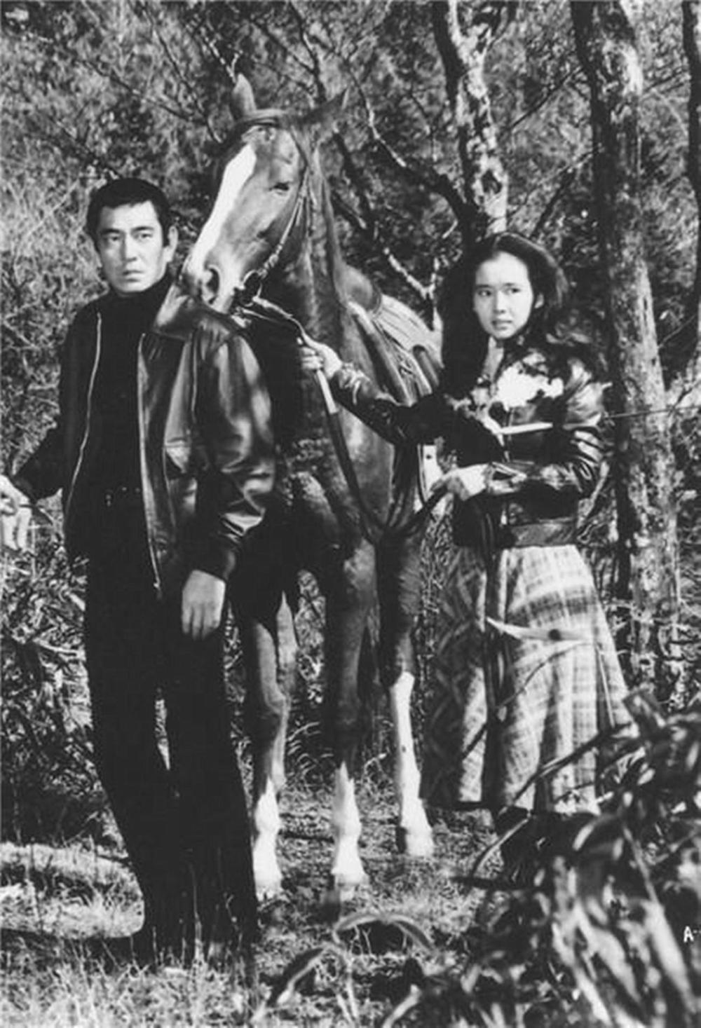 追捕剧情介绍,追捕剧情介绍电视猫