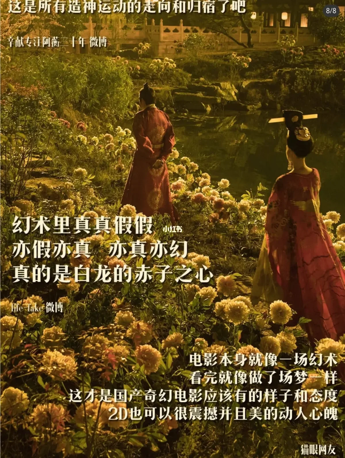 妖猫传电影在线观看,妖猫传免费完整版在线观看