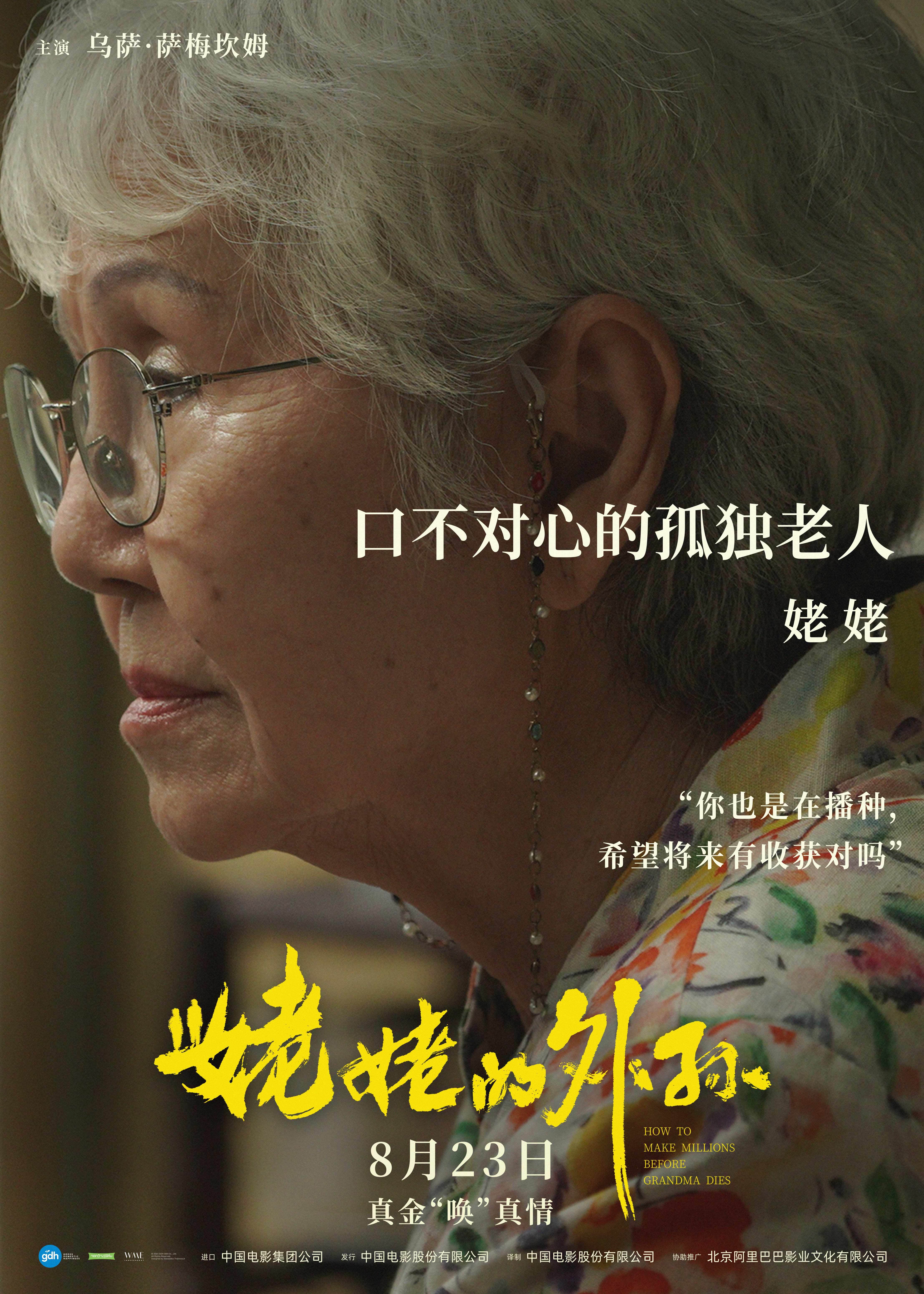 姥姥的外孙剧情介绍,姥姥的外孙剧情介绍结局文案