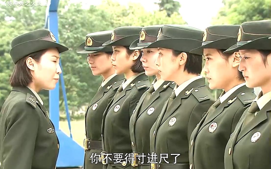 特种兵之火凤凰剧情大结局,特种兵之火凤凰电视剧结局