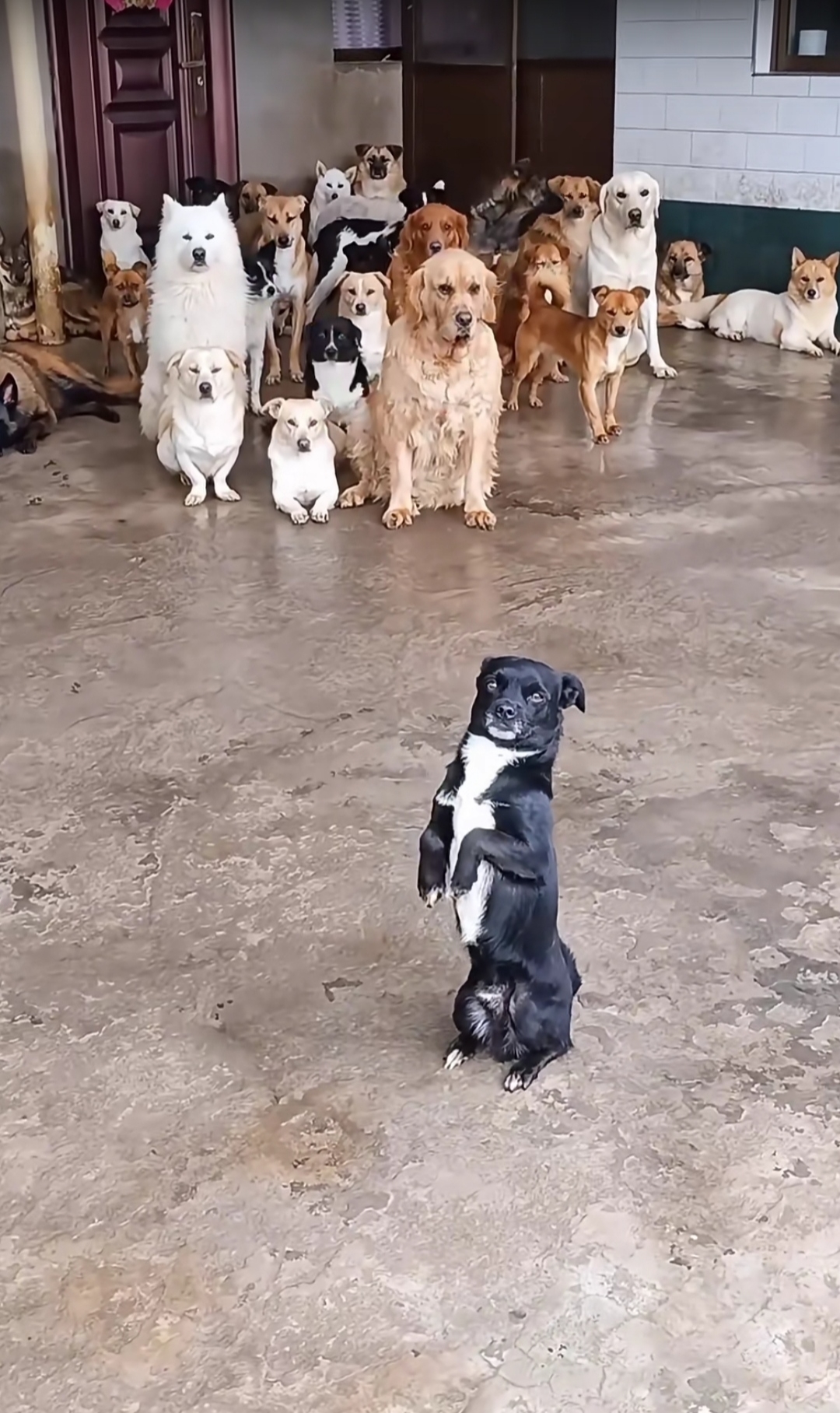 大开眼界在线观看,大开眼戒1999原版未删除版