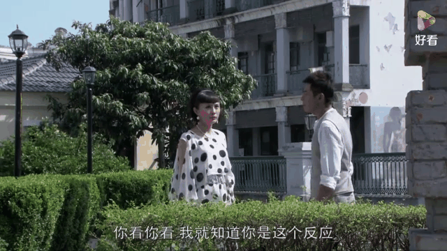 代号九耳犬在线观看,代号九耳犬在线观看免费