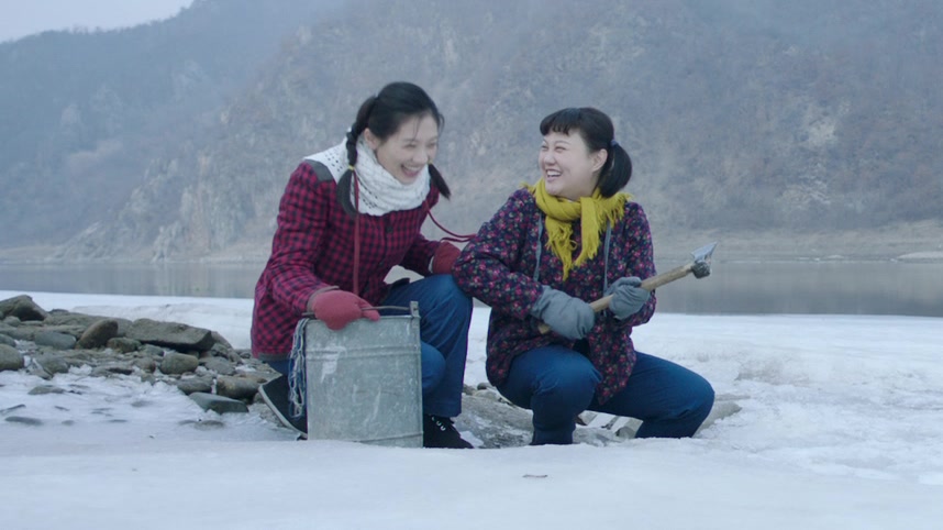 远方的山楂树在线观看,远方的山楂树免费观看全集