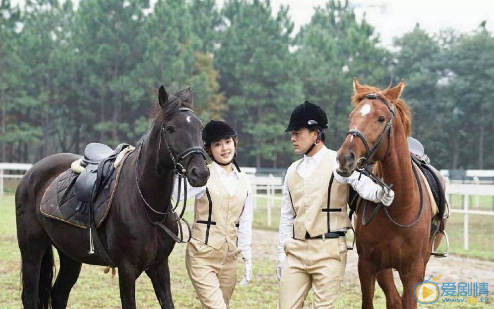 野花香电视剧全集免费观看6集剧情,野花香电视剧全集免费观看6集剧情排列五