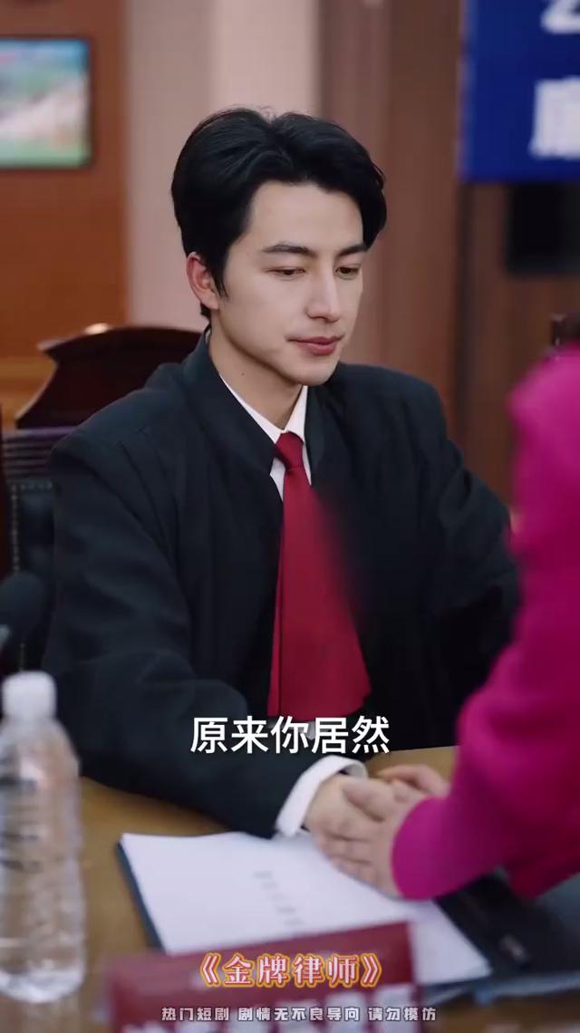 金牌律师剧情,金牌律师剧情简介