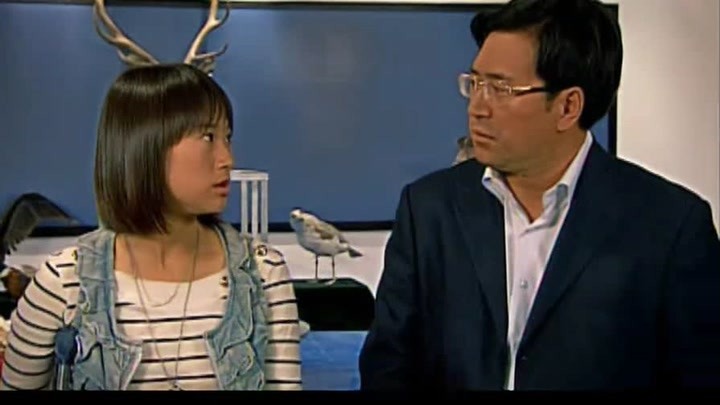 天火传说剧情介绍,天火传说全部演员表