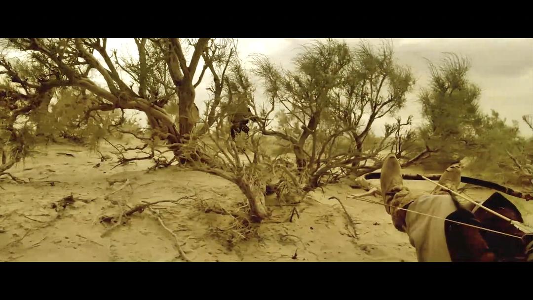 骆驼客在线观看,骆驼客4苍狼谷未删节版