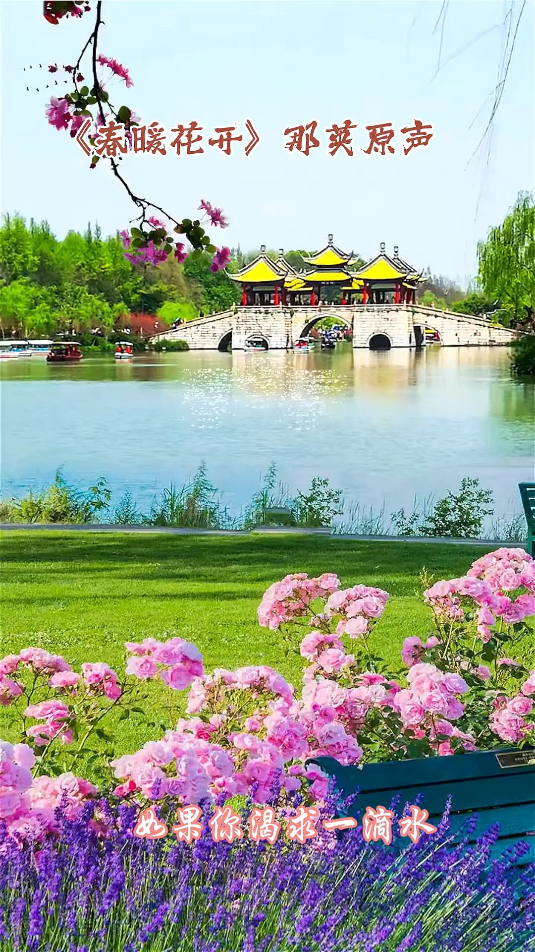 春暖花开在线观看,春暖花开在线观看全集