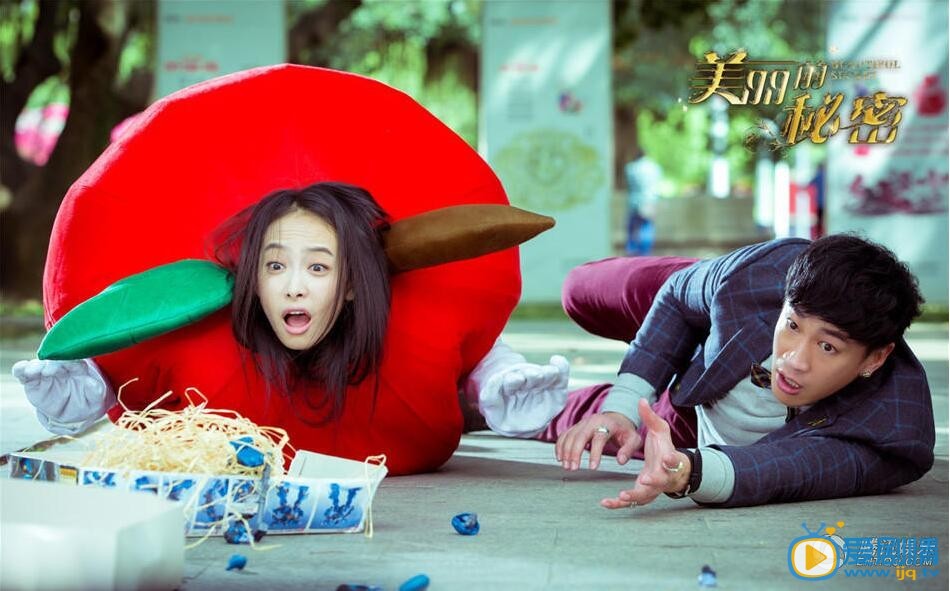 美丽的秘密剧情介绍,美丽的秘密主演