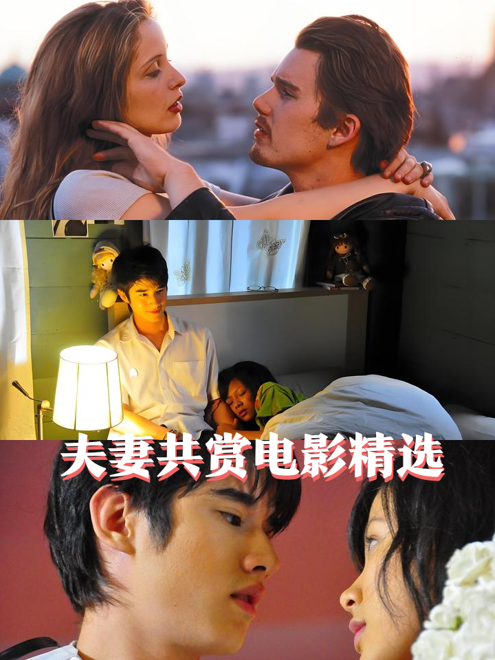 伙伴夫妻剧情介绍,伙伴夫妻演员表