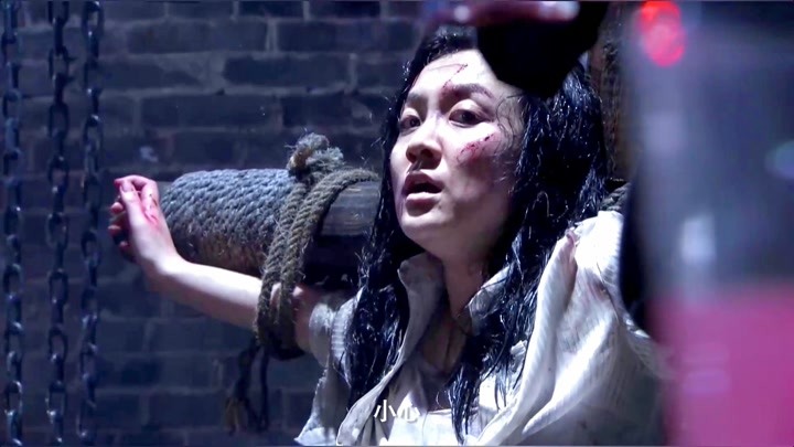 香草美人剧情介绍,香草美人演员介绍