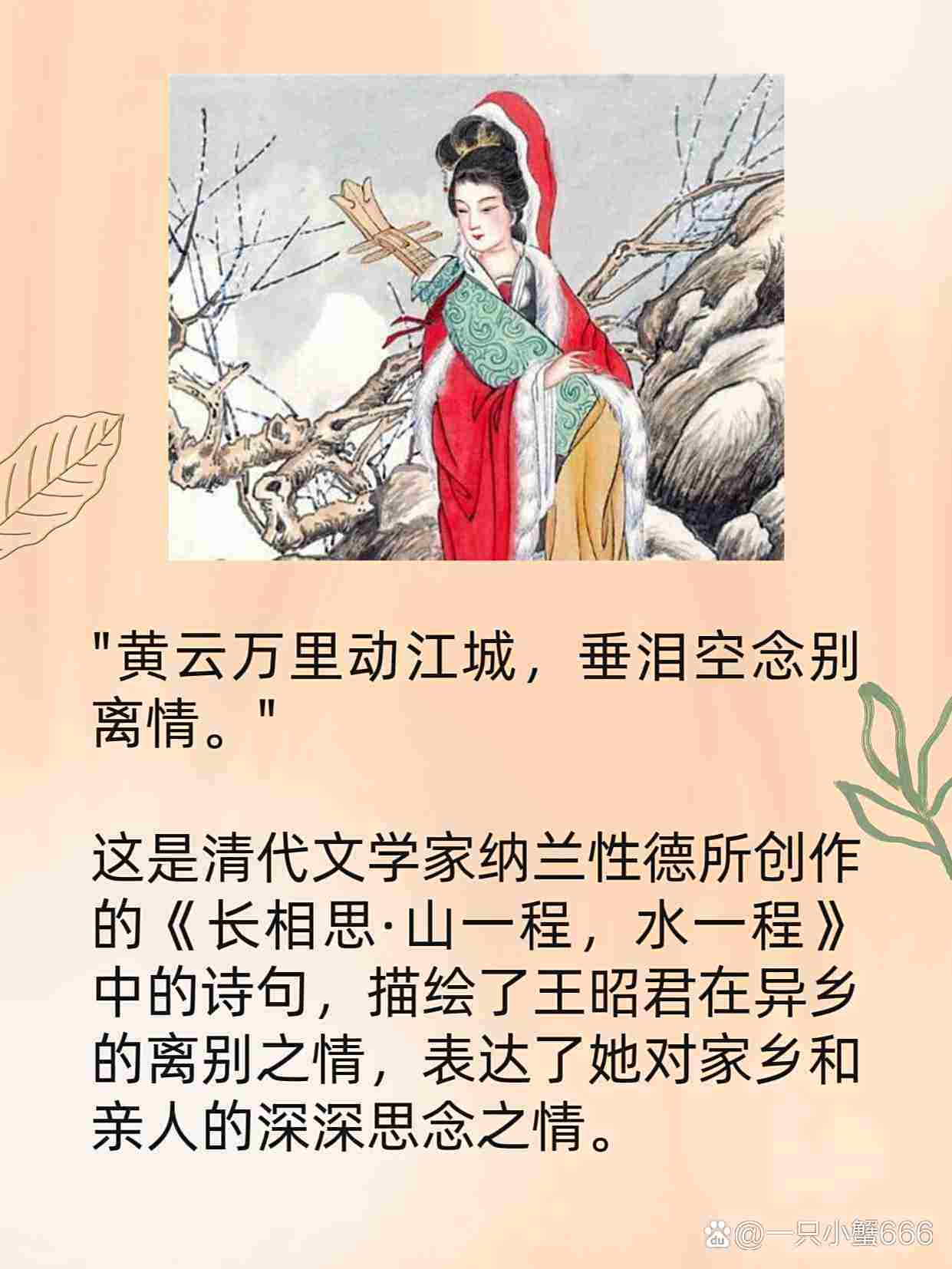 王昭君剧情介绍,王昭君剧情介绍大全