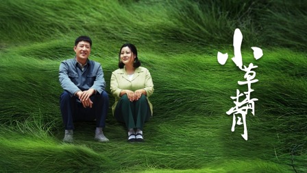 小草青青在线视频观看的简单介绍
