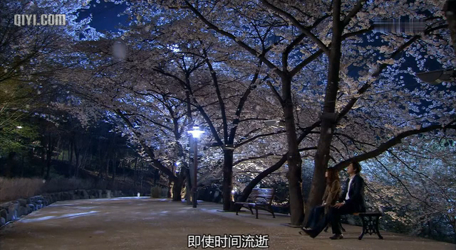 对我说谎试试剧情介绍,对我说谎试试小说晋江