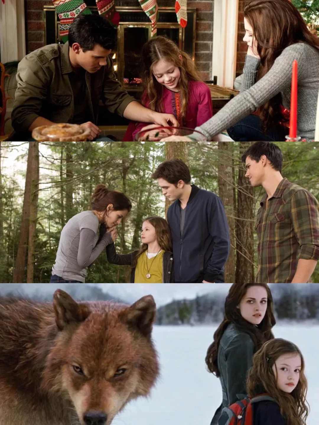 暮光之城在线观看,暮光之城在线观看免费完整版高清电影普通话