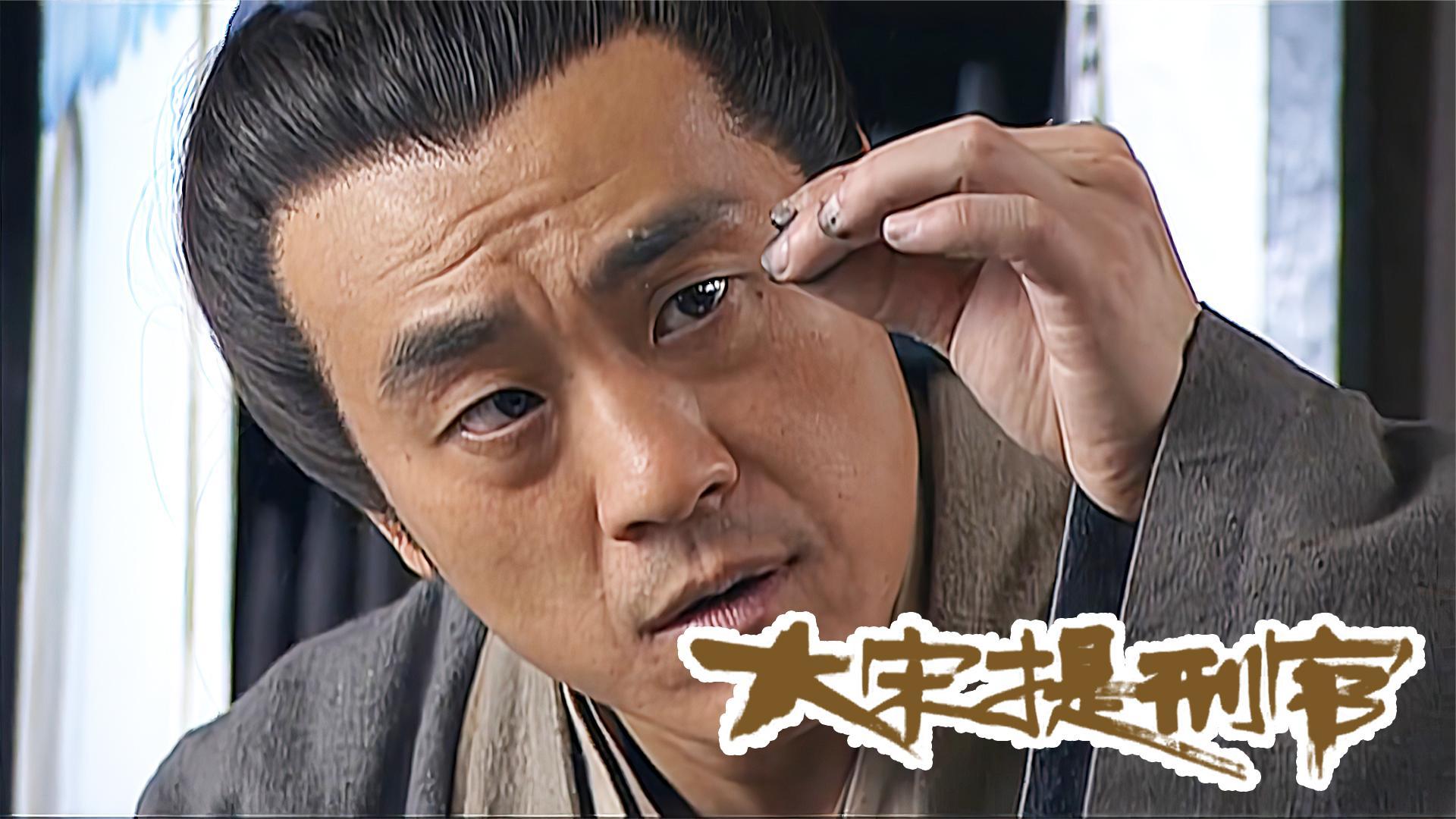 大宋提刑官剧情介绍,大宋提刑官主演叫什么