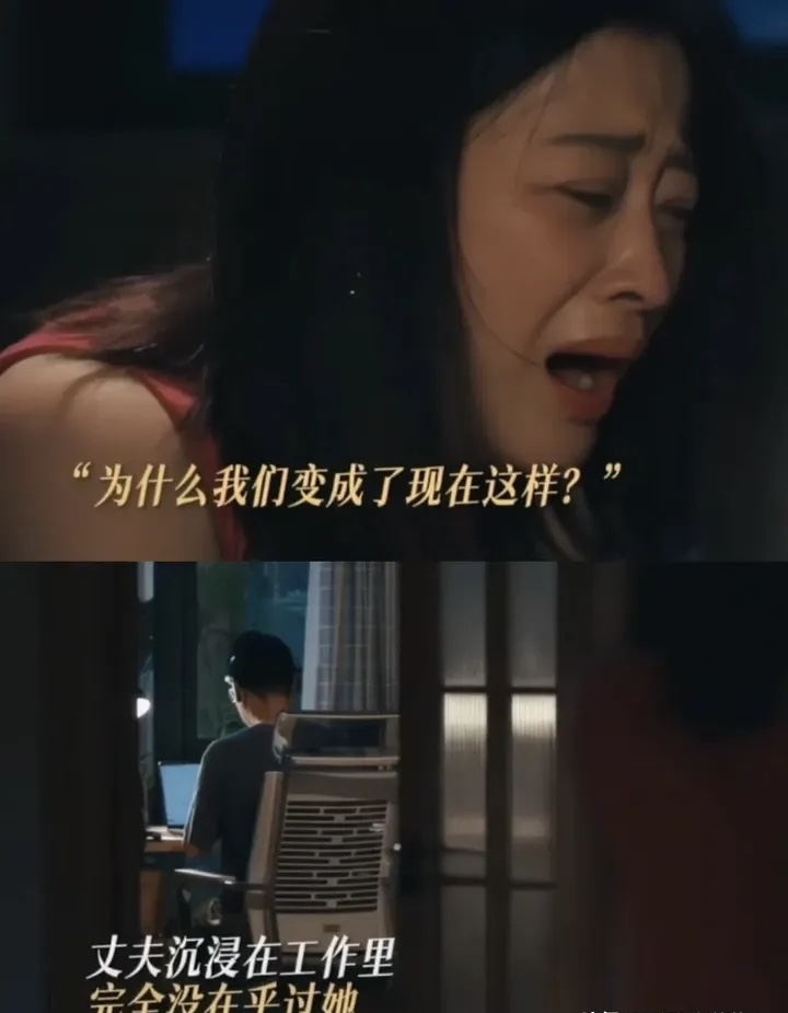 美丽无声剧情介绍,美丽无声电视剧剧情