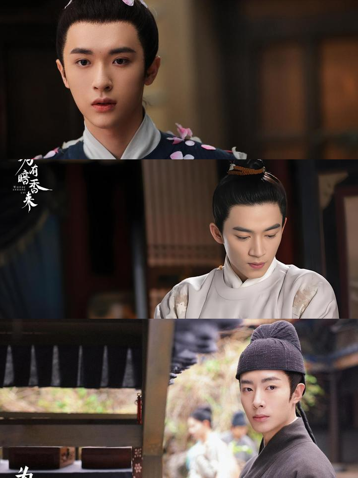 为有暗香来剧情简介,为有暗香来免费观看全集