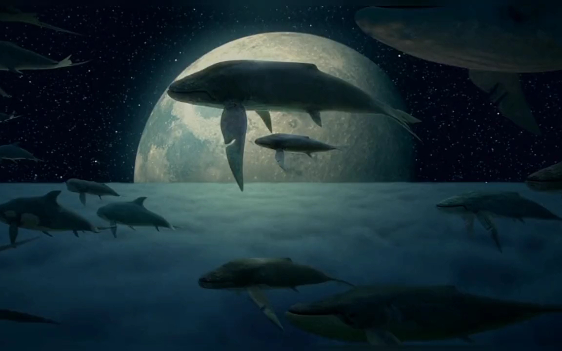 大鱼在线观看,大鱼在线观看全集免费播放电视剧