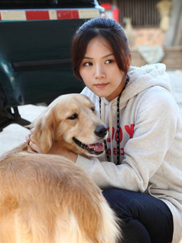 野鸭子电视剧剧情,野鸭子电视剧剧情解析