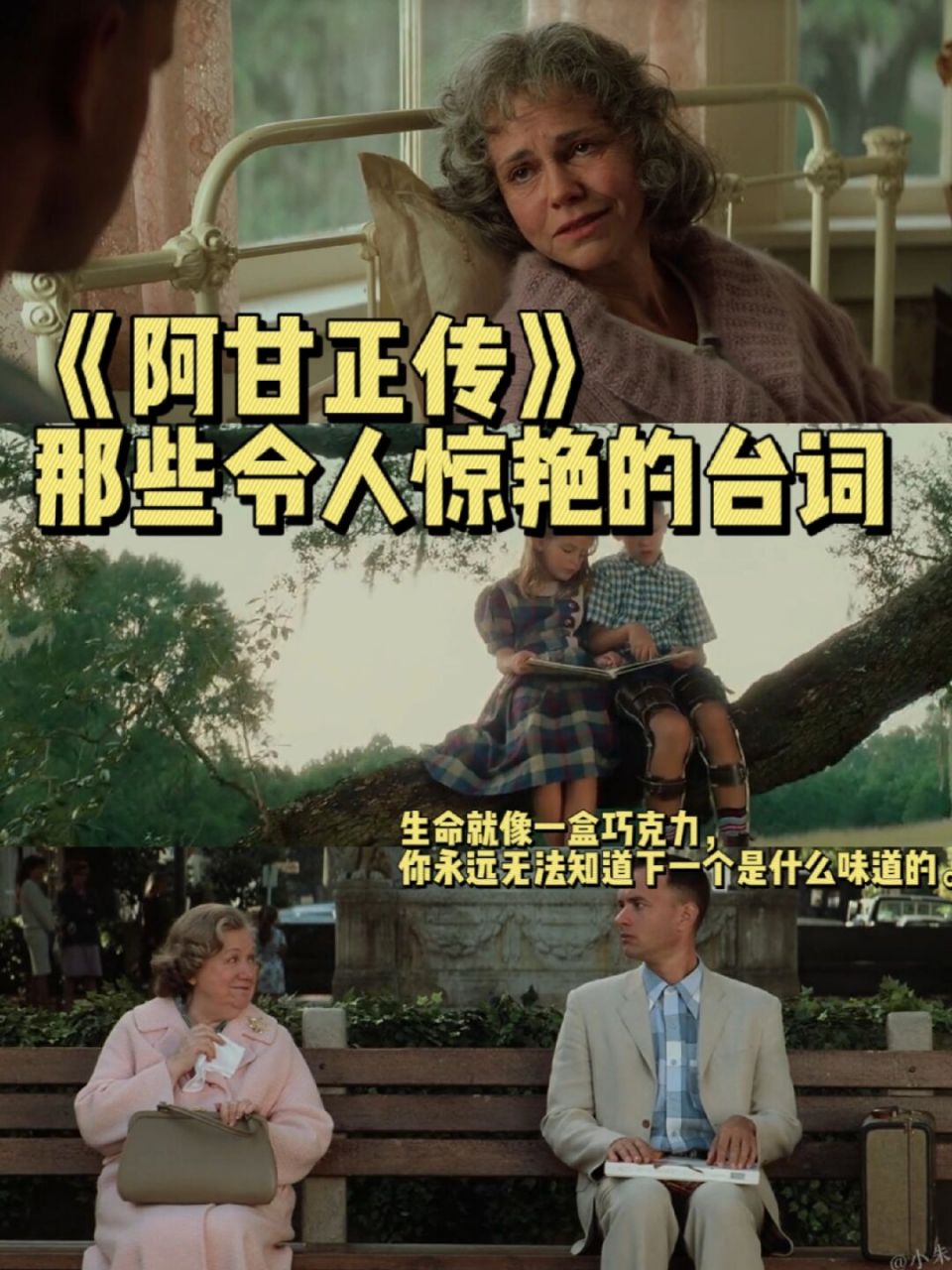 阿甘正传在线观看,阿甘正传在线观看视频